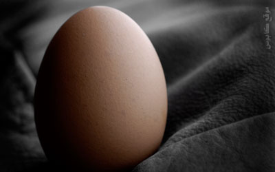 سر البيضة كابوس