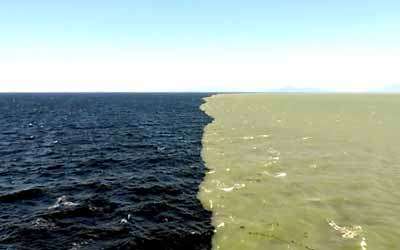 يحدث البرزخ عند التقاء سطحين مائيين مختلفي الكثافة