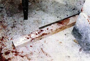 "عمر قتلني" الجريمة الغامضة التي حيرت فرنسا