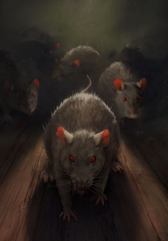الفئران .. حيوانات السحر اللعينة ..